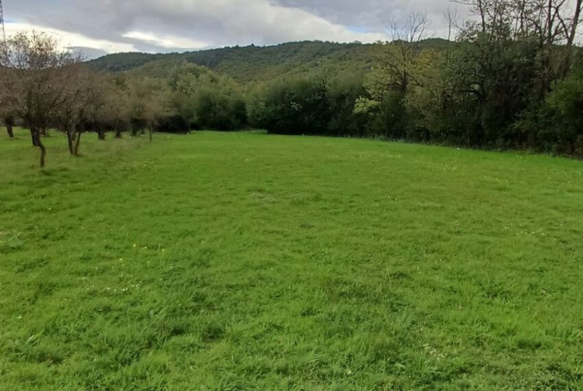 559117083_1436605961804346_430285736832272959_n