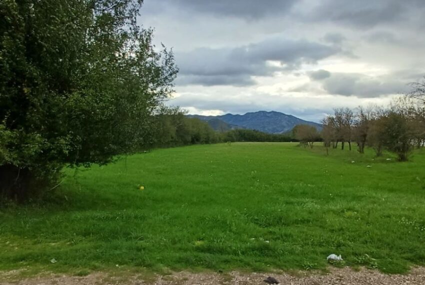 559669110_1436606041804338_4393906645275066244_n