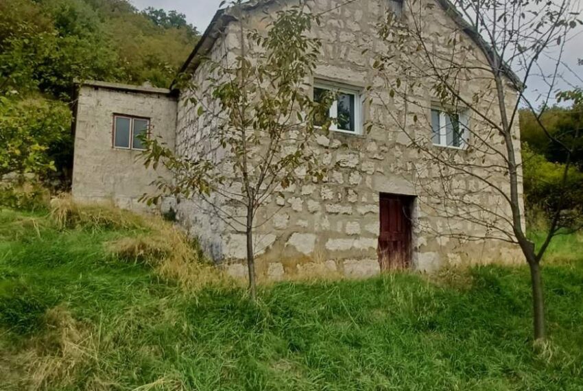 561632002_1457303533067922_6424180824318872620_n