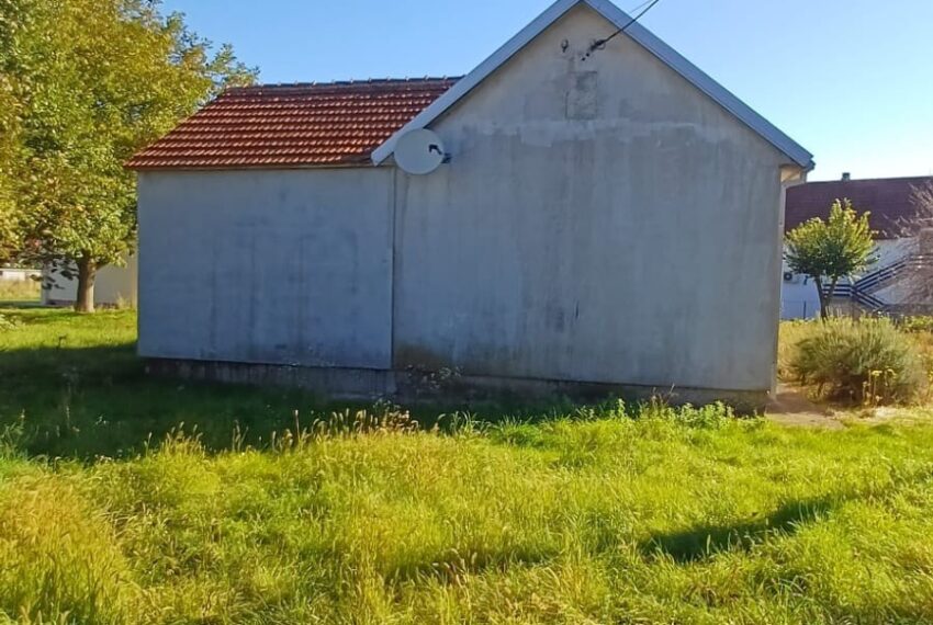 561683095_1442263307905278_4653898244517669904_n