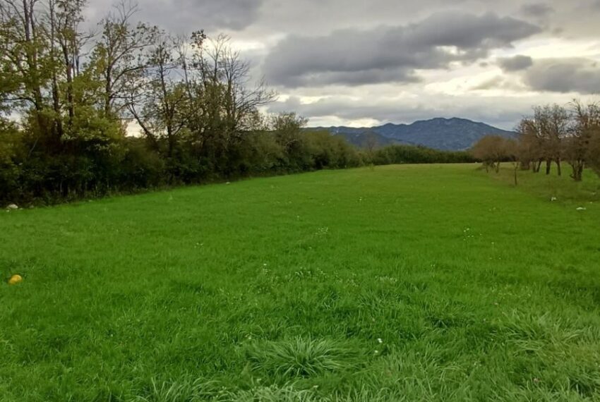 561767358_1436606078471001_4767506862295743936_n