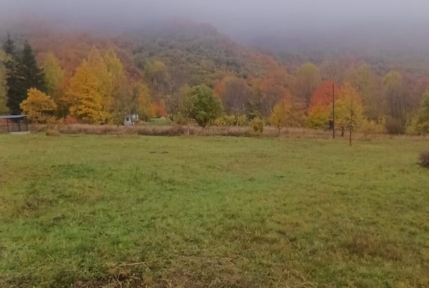 570609137_1455908333207442_3241833275227252290_n