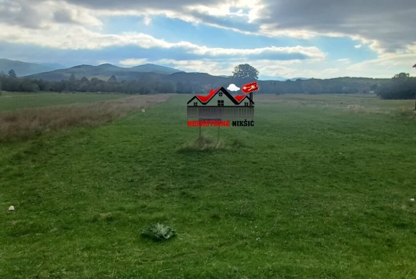 571065029_1457303756401233_3437503764654754245_n