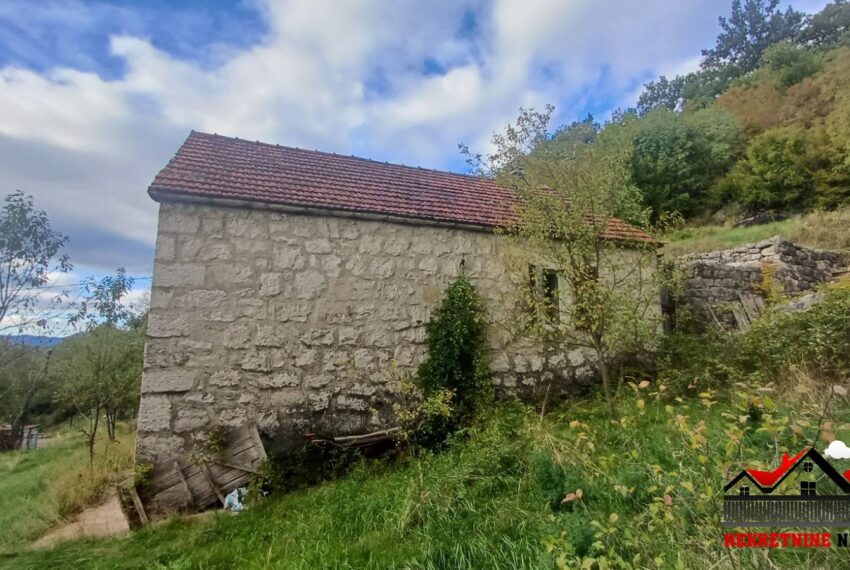 571120130_1457303583067917_927093649138924647_n