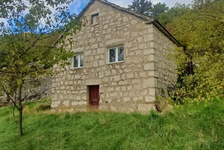 571335093_1457303409734601_6771756850340706567_n