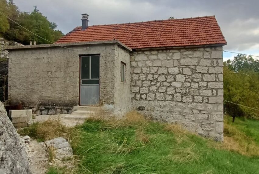 571343259_1457303436401265_3937025864494278071_n