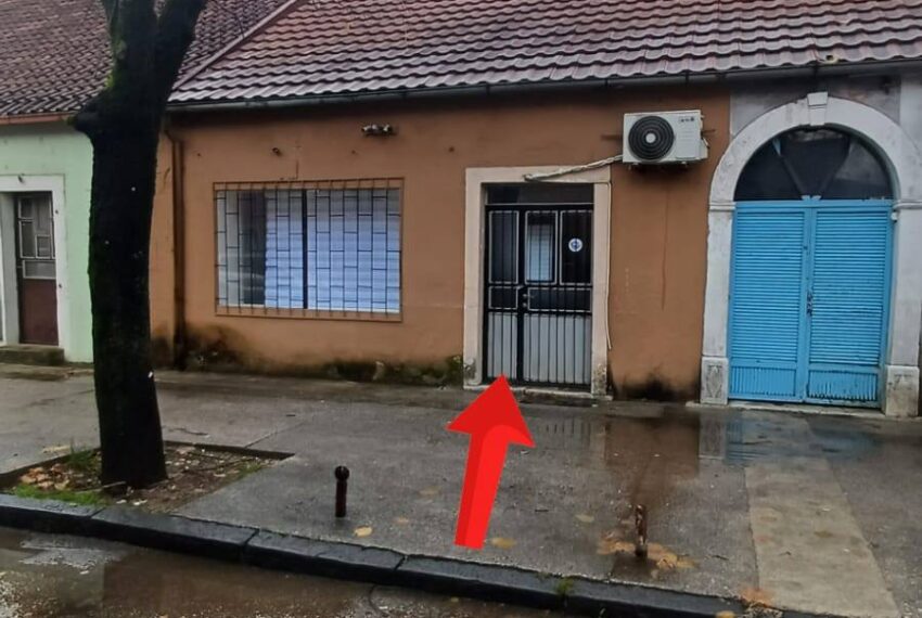 589135899_1488597476605194_5027165982801306729_n