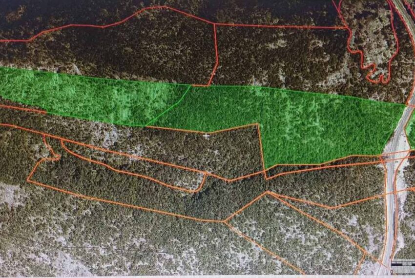 594179097_1492882549510020_9062663379159489719_n