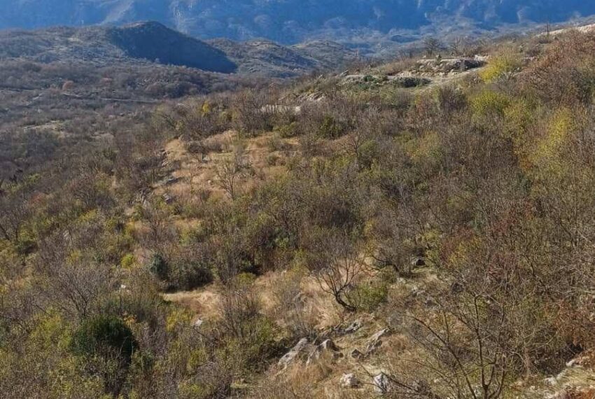 597693406_1505658394899102_5649990758399302077_n