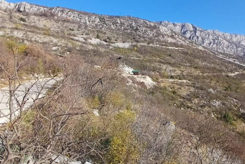 598563348_1505658311565777_1232327776914075129_n