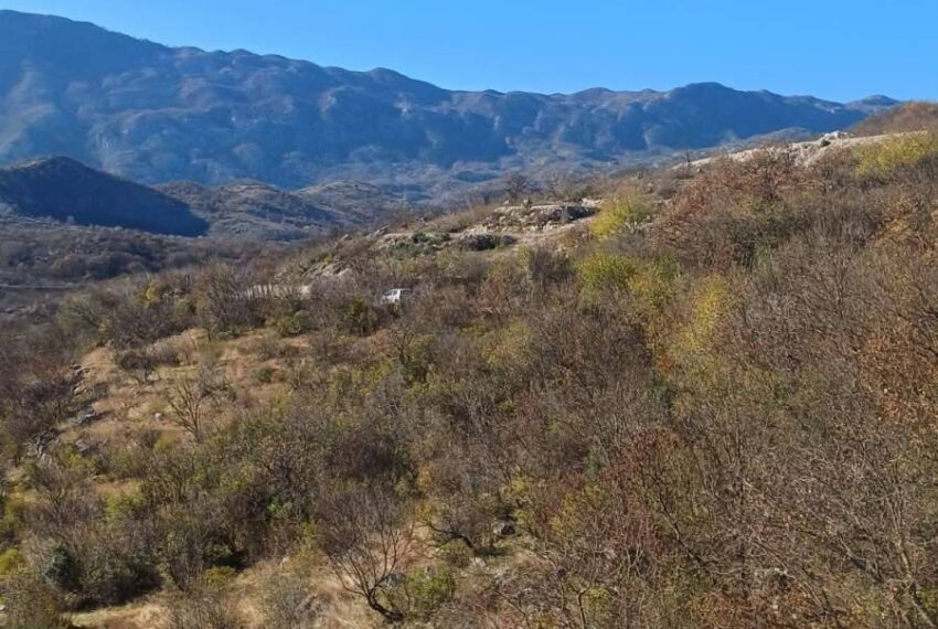 598580271_1505658264899115_6019289452053912562_n