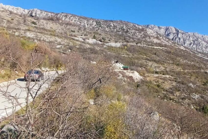 598594237_1505658441565764_4227972176240243835_n