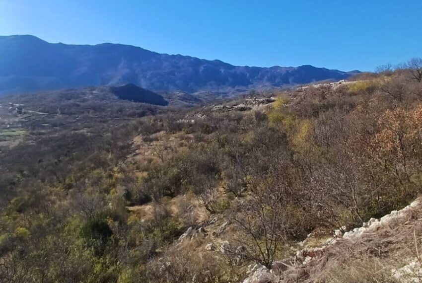 599721843_1505658208232454_1400460135431607704_n