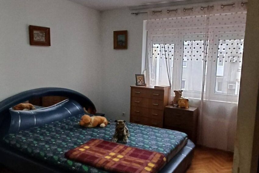 658199423_1605407451590862_6021288641569501409_n