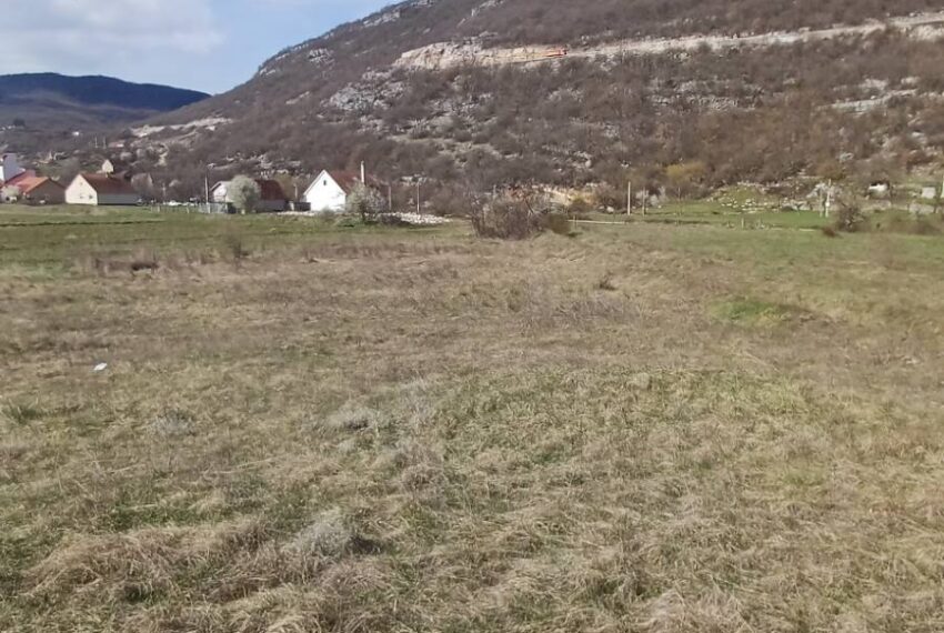 666055595_1613148540816753_4367571001781552615_n