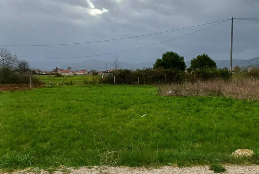 670896321_1619001326898141_7616783580621351561_n