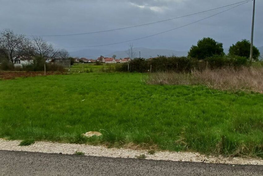 671841459_1619001783564762_1025281751403307908_n